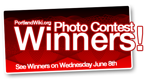 File:Graphic-photowinners-banner.png