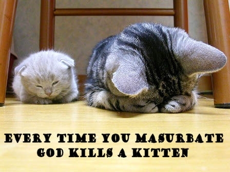 File:God-kills-a-kitten.jpg