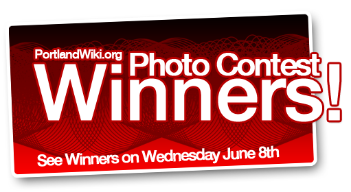 Graphic-photowinners-banner.png