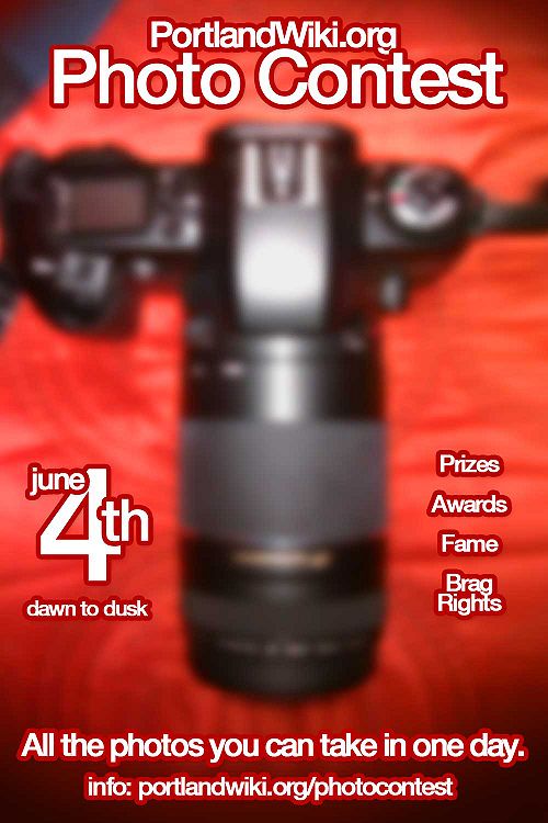 Graphic-photocontest.jpg