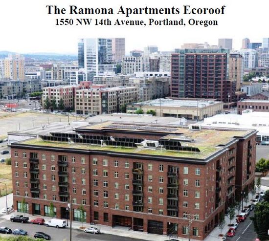 Portland Building Green roof