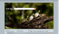Bing's primary search element