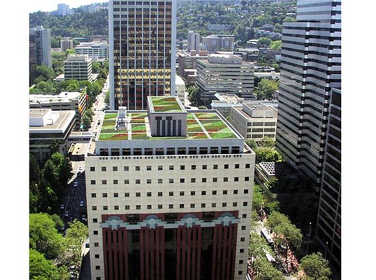 Portland Building Green roof